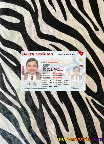 USA South Carolina state driving(2020 – present) photolook